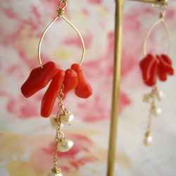 紅色珊瑚和淡水珍珠的圓環耳環 （夾式耳環） 第1張的照片