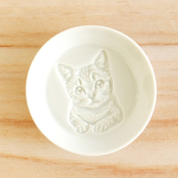 子猫の醤油皿 2枚目の画像