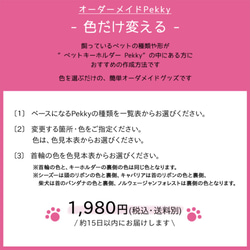 【★オーダーメイド＊ペットキーホルダーMy Pekky〔カラーオーダー〕★】（犬・猫） 2枚目の画像