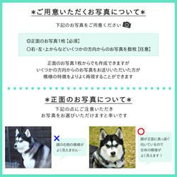 【★オーダーメイド＊ペットキーホルダー〔模様・カラーオーダー〕★】(犬・猫) 3枚目の画像