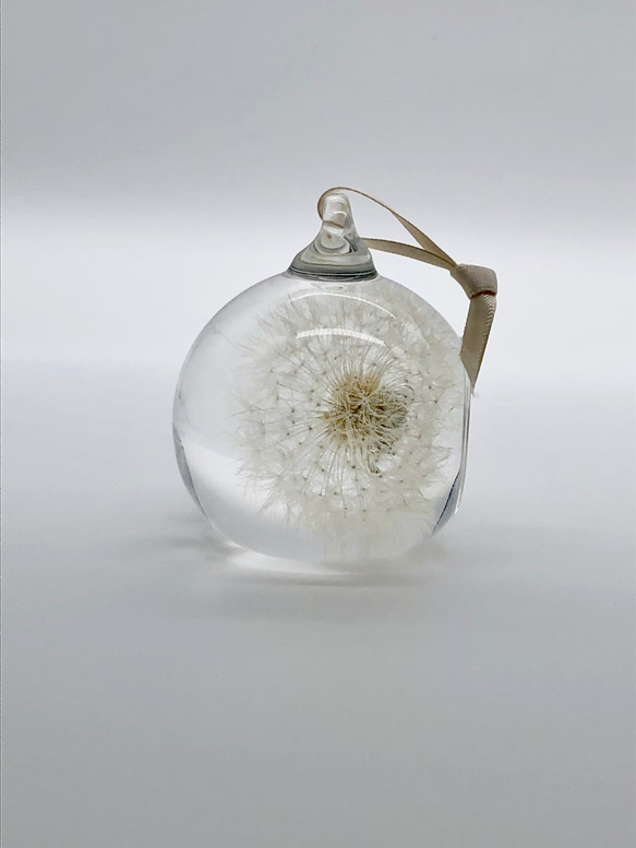たんぽぽ綿毛のガラスドーム　Ｍ 6枚目の画像