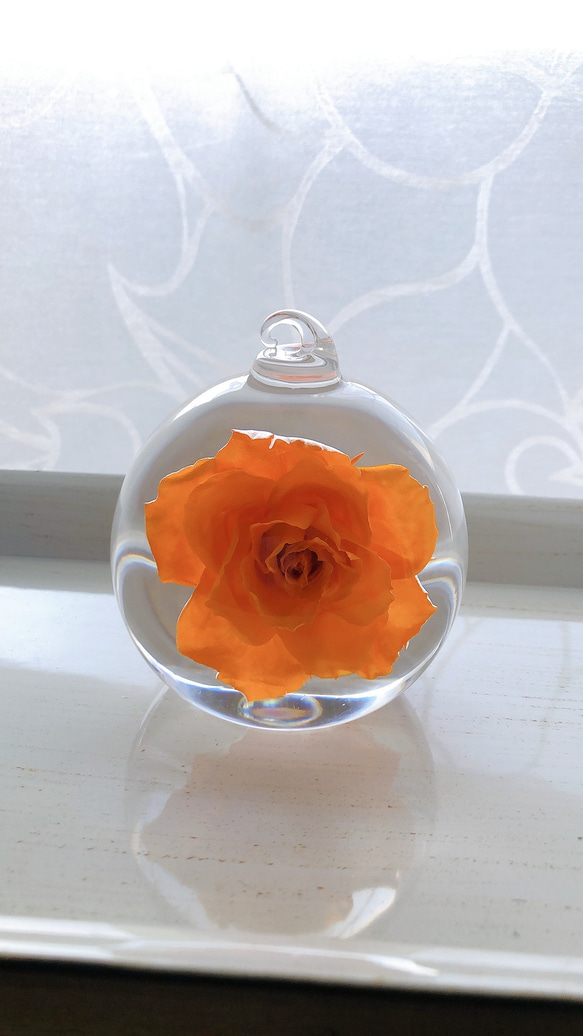 開花バラのガラスドーム　Ｌ　オレンジ 1枚目の画像