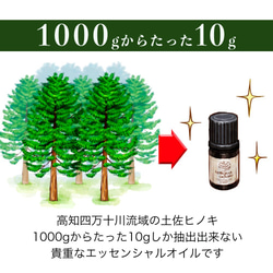 reliqua odore レリクア オドレ 国産 土佐ヒノキ 天然100% アロマオイルセット 3枚目の画像