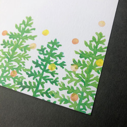 冬のポストカードセット モミの森と柊 3枚目の画像