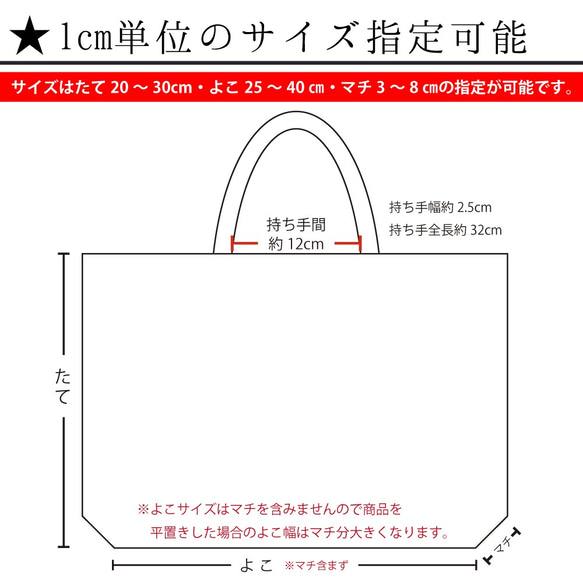 【名入れ レッスンバック】サイズオーダーシンプル　オリジナル　入園入学 3枚目の画像