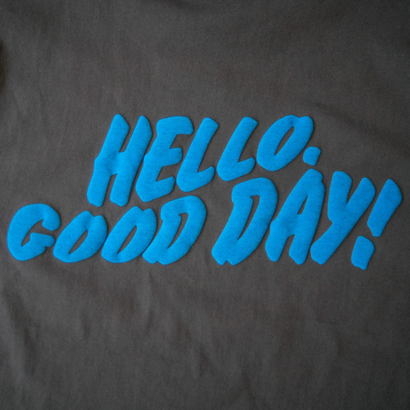 HELLO GOOD DAY! _ Ｔシャツ［スミ × ブルー］ 4枚目の画像