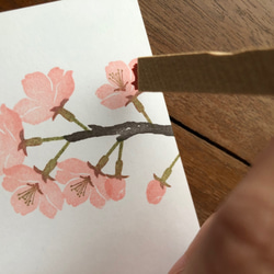 Cherry  blossoms スタンプセット 6枚目の画像