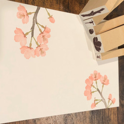 Cherry  blossoms スタンプセット 5枚目の画像