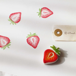 イチゴの多色押し 消しゴムはんこ はんこ・スタンプ Beach field stamp