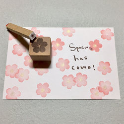 SAKURA stamp set【小】櫻花印章組 第1張的照片