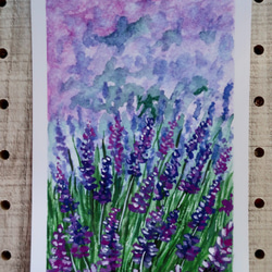 風とハミングする綿毛　(sizeポストカード)水彩画　原画 水彩紙のポストカード ハミングの森 P-0249 | こばやしあや
