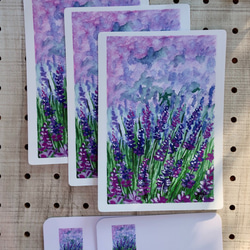 3枚セット, ラベンダー畑風景 水彩画イラストポストカード 3枚目の画像