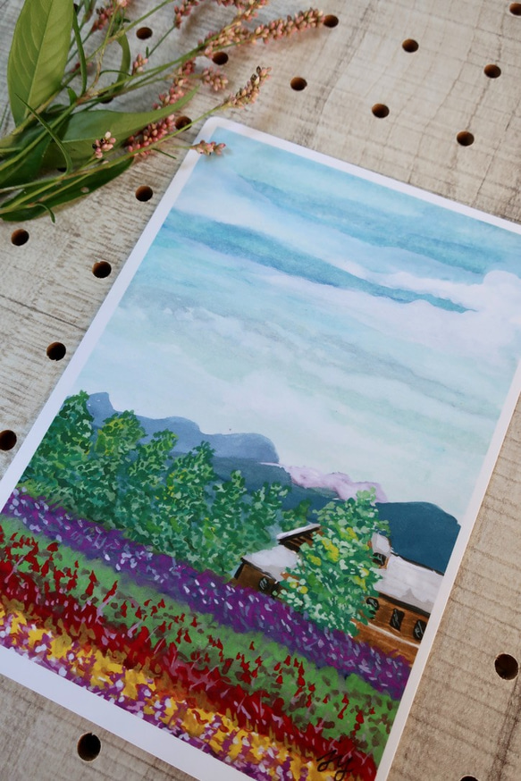 3枚セット, ( 北海道の美しい風景, 花畑 ) 水彩画イラストポスト