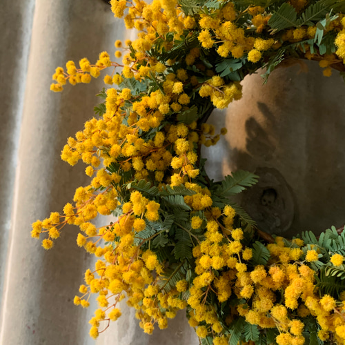 ミモザミニリース ドライフラワー ＊Sprout＊ 通販 8700557