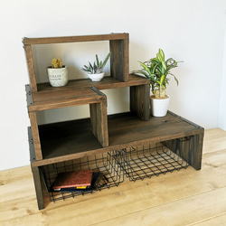 ボタニカルシェルフ w800 植物棚 アイアンシェルフ 3段 家具 観葉植物