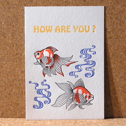レタープレスカード金魚/3枚セット 1枚目の画像