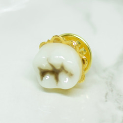 歯　歯牙のピンバッジ　マスクチャーム　マスククリップ 1枚目の画像