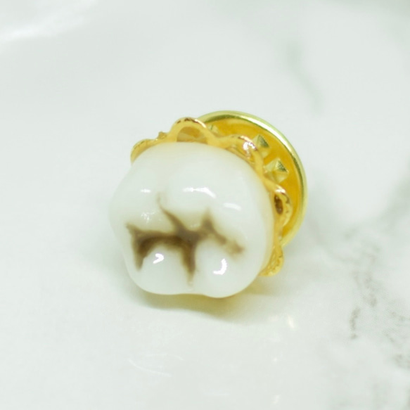 歯　歯牙のピンバッジ　マスクチャーム　マスククリップ 1枚目の画像