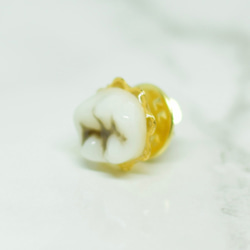 歯　歯牙のピンバッジ　マスクチャーム　マスククリップ 3枚目の画像