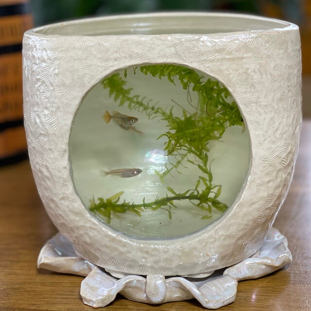 家飾品陶磁器招財魚置物