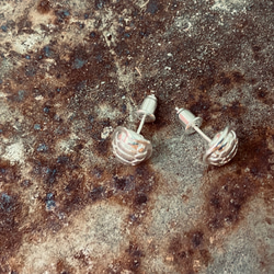 純銀 龜 龜甲 龜殼 耳針 S201 第2張的照片
