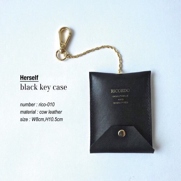 black key case 1枚目の画像