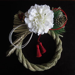しめ縄★胡蝶蘭⑤椿　お正月飾り　しめ縄リース　しめ飾り　紅白 しめ縄飾り お正月飾り 注連縄 インテリア フラワーリース 玄関 カラー