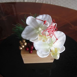 枡に胡蝶蘭のお正月飾り 2枚目の画像