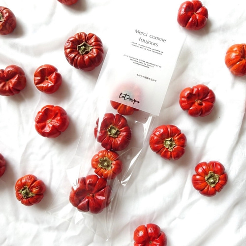 季節限定】ドライかぼちゃ4つセット♡ ディスプレイ 人気 おしゃれ