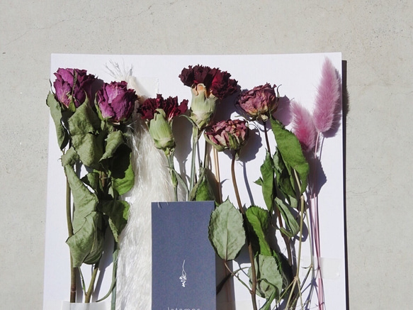 【花言葉を贈ろう】カーネーション【無垢で深い愛 愛】プレゼント 花 アソート プチギフト フラワー 1枚目の画像
