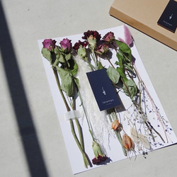 【花言葉を贈ろう】カーネーション【無垢で深い愛 愛】プレゼント 花 アソート プチギフト フラワー 3枚目の画像