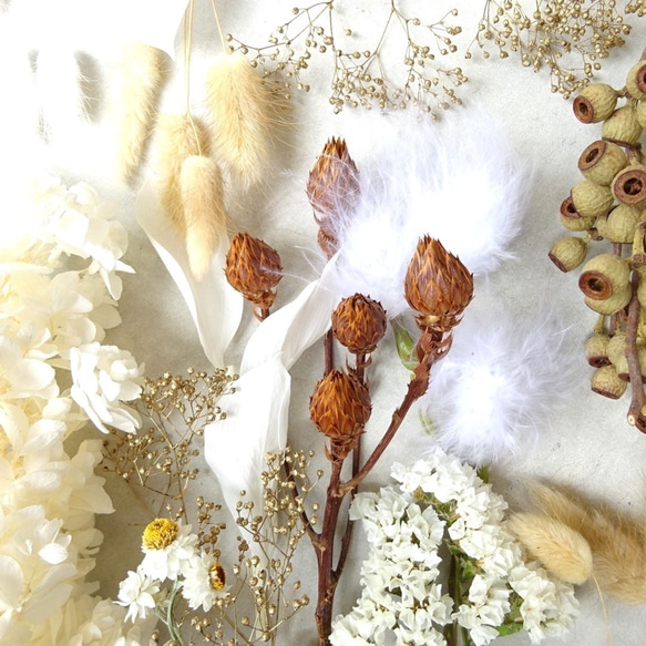 新作】ホワイト＆ゴールドブラウン系ドライフラワー 花材 アソート