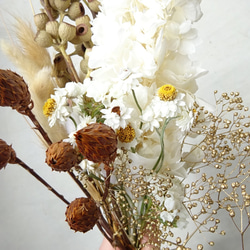 【新作】ホワイト＆ゴールドブラウン系ドライフラワー 花材 アソート プリザーブドフラワー 4枚目の画像