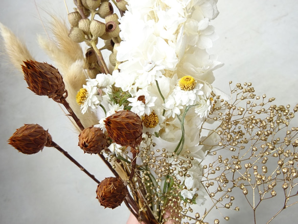 【新作】ホワイト＆ゴールドブラウン系ドライフラワー 花材 アソート プリザーブドフラワー 4枚目の画像