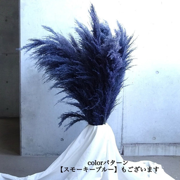 【国産2本】特大サイズ美品パンパスグラス(100〜130㌢)2本セット♡ インテリア ドライフラワー 高品質 8枚目の画像