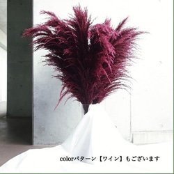 【国産2本】特大サイズ美品パンパスグラス(100〜130㌢)2本セット♡ インテリア ドライフラワー 高品質 9枚目の画像