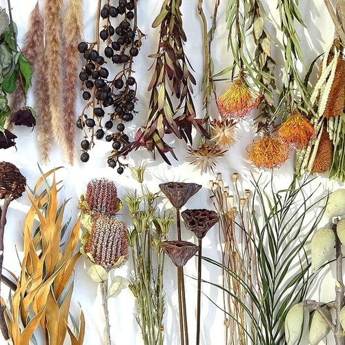 5種類】ワイルドフラワーセット♡ ドライ詰め合わせ 海外インテリア