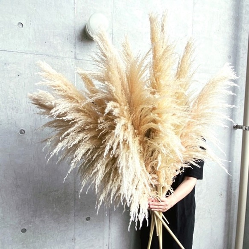 ウェディング♪ハロウィン*オシャレカフェ飾り♪特大パンパスグラス ...