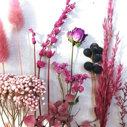 【人気】数量限定pink系ドライフラワー 花材 アソート プリザーブドフラワー 1枚目の画像
