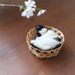 かご猫　ひじき♥　Φ9.5cm★全国発送一律４００円　 2枚目の画像