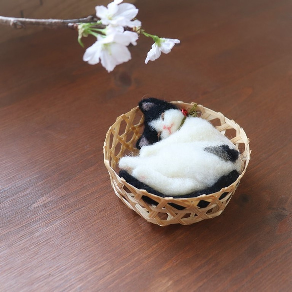 かご猫　ひじき♥　Φ9.5cm★全国発送一律４００円　 2枚目の画像