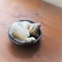 小皿ねこ　しらす　Φ9.5cm★全国発送一律４００円 1枚目の画像