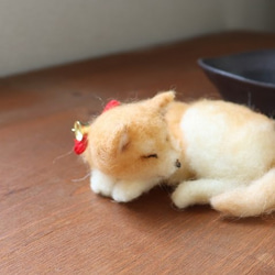 おさら柴犬　　Φ12.5cm★全国発送一律４００円 4枚目の画像