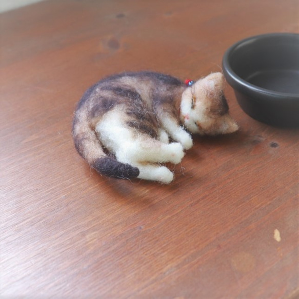 さら猫　たまり　Φ10cm★全国発送一律４００円　 5枚目の画像