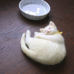 タルト猫　ゆず★ご予約品　 5枚目の画像