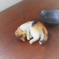 お皿ねこ　なめこ　Φ12.5cm 5枚目の画像