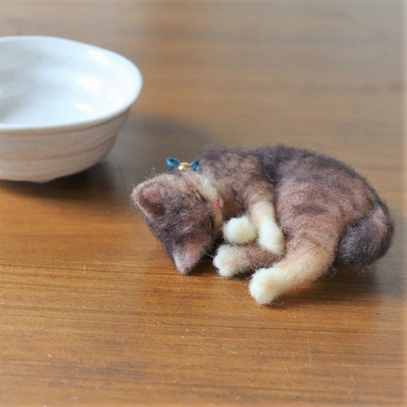 和カップ猫　あさり　Φ10.5cm★全国発送一律４００円　 5枚目の画像