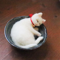 和カップ猫　たんご　Φ10.5cm　 5枚目の画像
