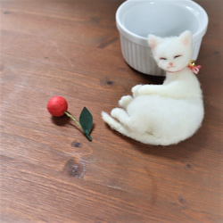 ココット猫　さくらんぼ　Φ10cm★全国発送一律４００円 7枚目の画像