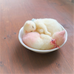 羊毛◆なかよし猫★白桃　Φ13.5cm 2枚目の画像